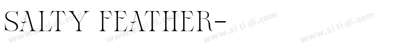 salty feather字体转换